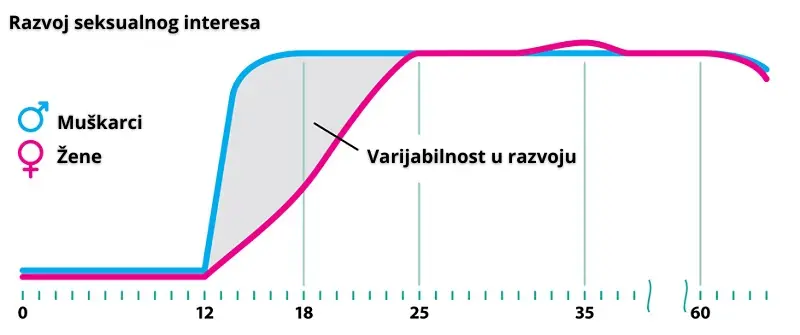 razvoj seksualnog interesa slika