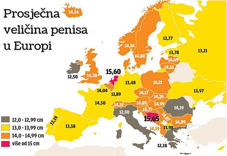 prosječna veličina penisa u europi slika