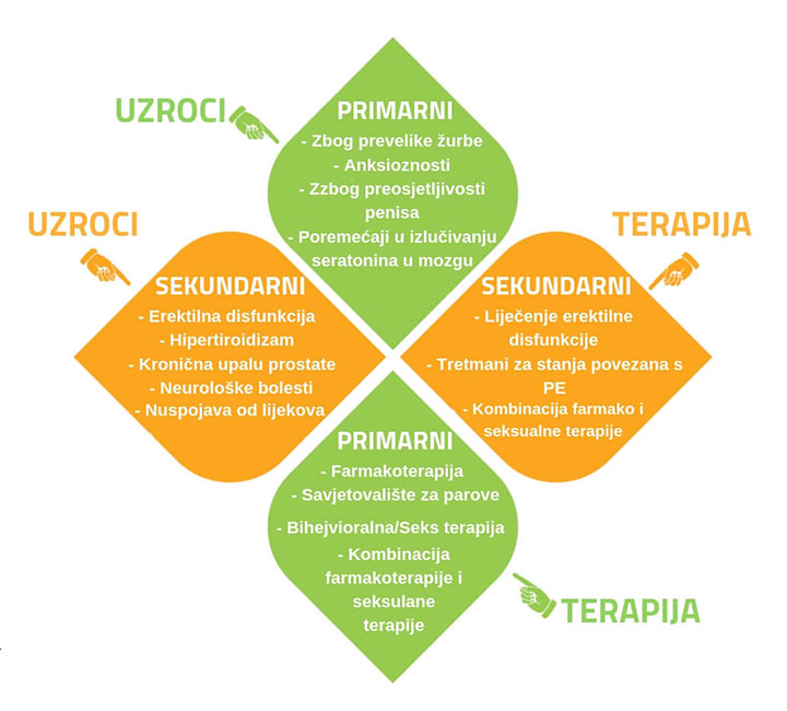 preuranjena ejakulacija uzroci i terapija slika