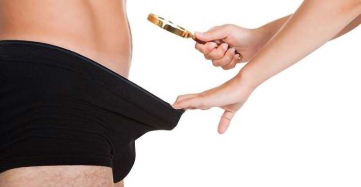 veličina penisa slika